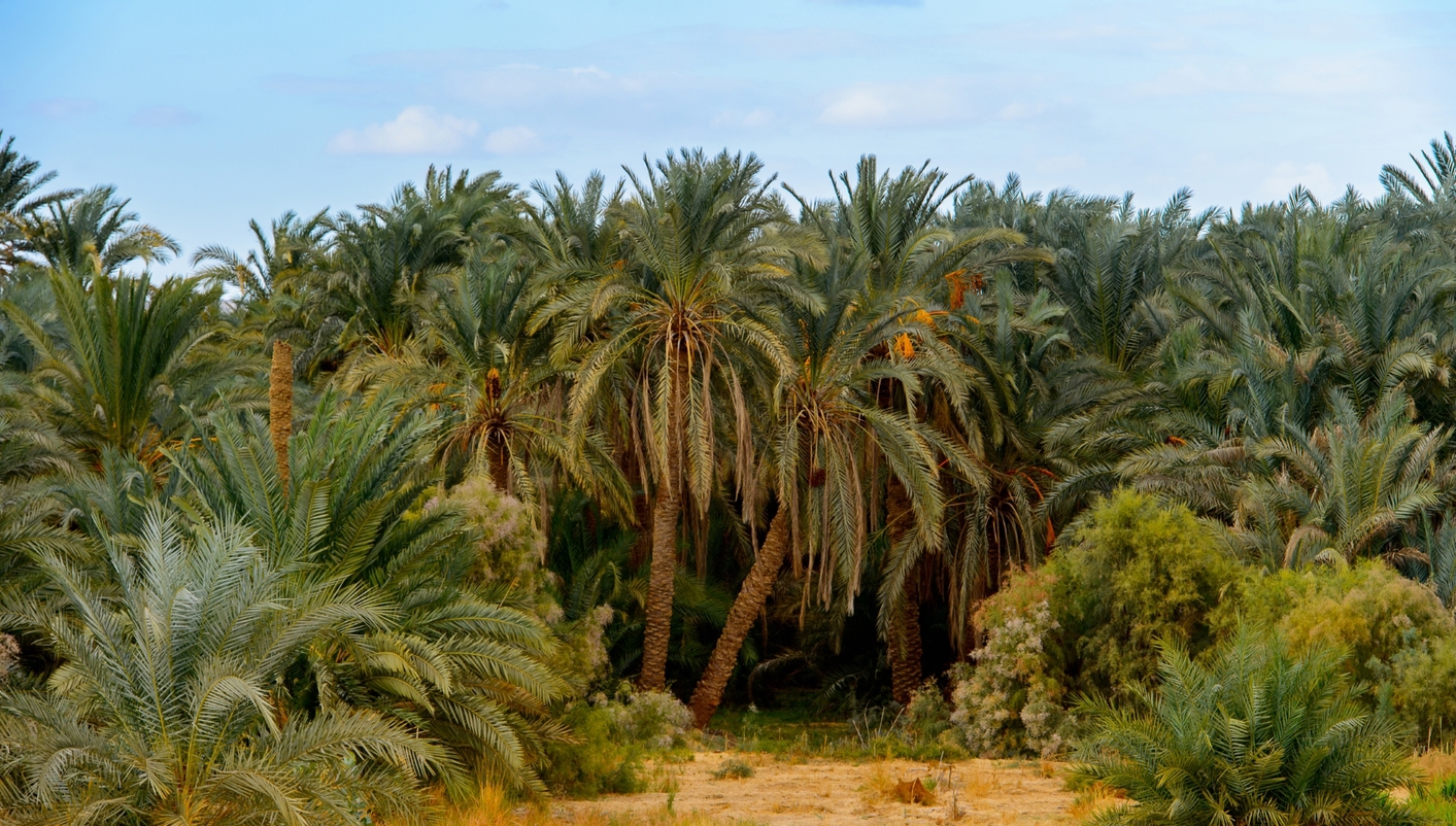 imagen de cabecera del circuito Extensión desiertos blanco y negro